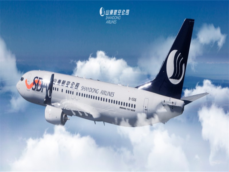 Shandong Airlines Co Ltd Shandong Airlines Co Ltd
